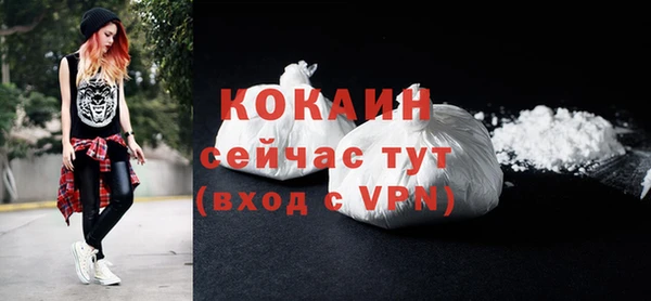 первитин Михайлов