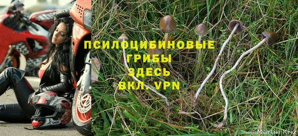 эйфоретик Навашино