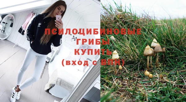 первитин Михайлов