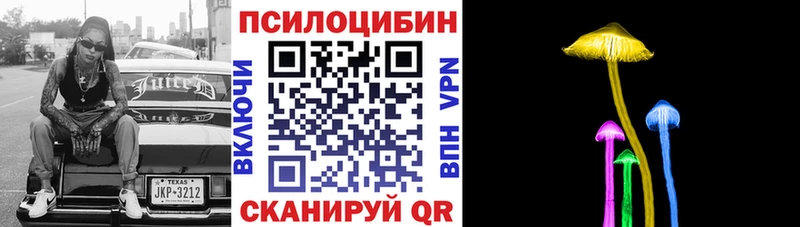где купить наркоту  KRAKEN tor  Галлюциногенные грибы GOLDEN TEACHER  Тында 