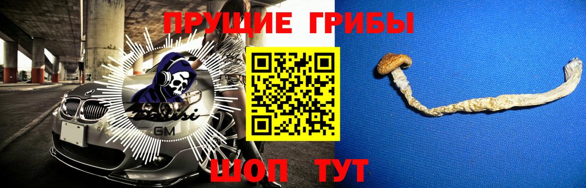 Галлюциногенные грибы Psilocybe  Псилоцибиновые грибы мухоморы  Тында 