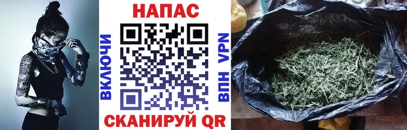 Бошки Шишки VHQ  купить наркотики цена  Тында 